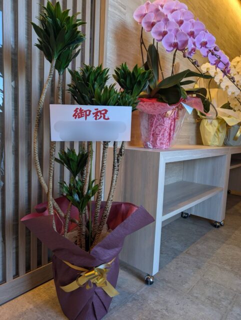 長くお世話になっている葬儀社様より、
お祝いのお花をいただきました🌸
こうして節目のたびにお声をかけてくださることが、
何よりの励みになっております。
いつも本当にありがとうございます😌
#ミオクル #MIOQLU #家族葬