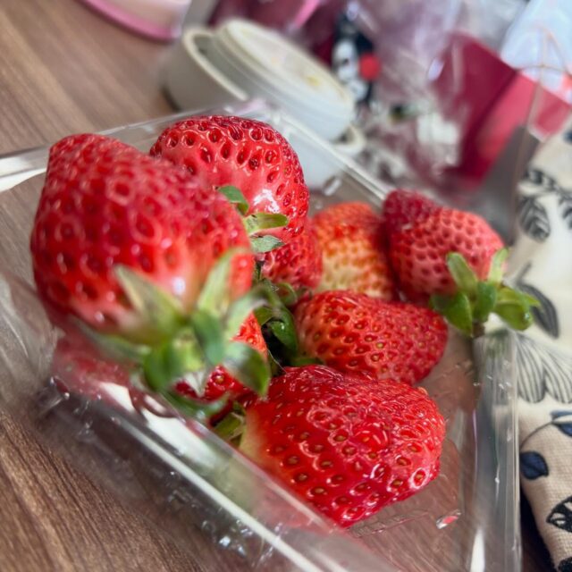 ・

あっという間に３月 …
行く逃げる去る とは言いますが …

日々の早さに驚きつつ、
一日一日を大切に過ごしたいものです。

季節の変わり目、体調に気をつけながら
今月もよろしくお願いいたします☘️

#家族葬 #湯灌 #納棺師