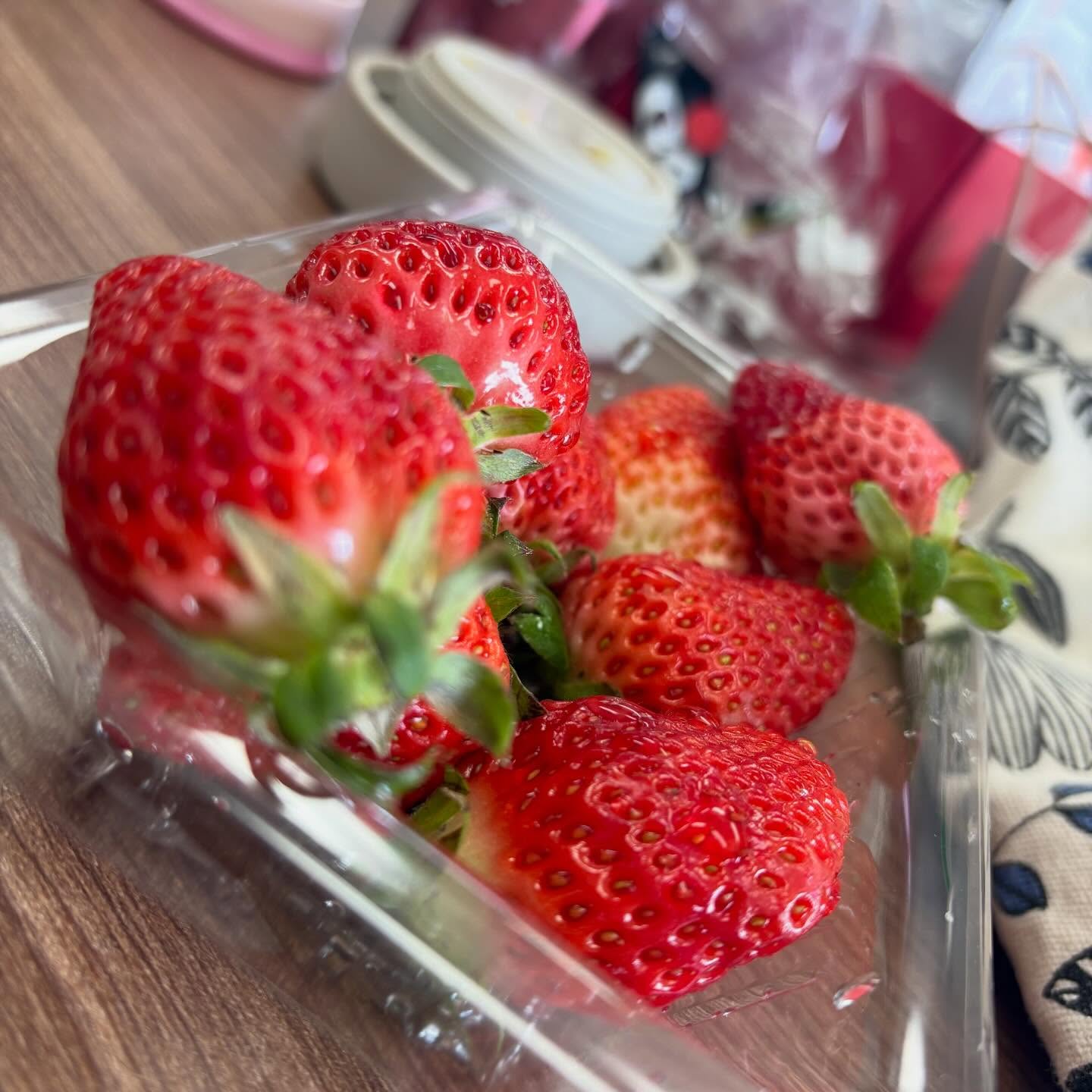 ・

あっという間に３月 …
行く逃げる去る とは言いますが …

日々の早さに驚きつつ、
一日一日を大切に過ごしたいものです。

季節の変わり目、体調に気をつけながら
今月もよろしくお願いいたします☘️

#家族葬 #湯灌 #納棺師