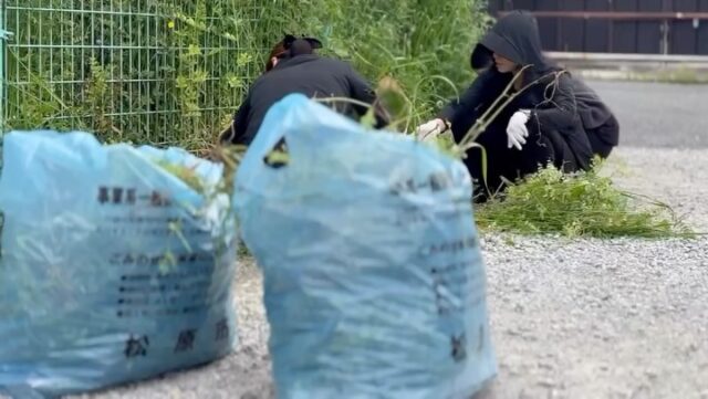 事務所前に生い茂った雑草の草むしり。

UVカットのパーカーを着て、
日焼け対策も万全です👌

こういう地道な作業も、
みんなでやると意外と楽しいものですね😌

暑さに負けず、
今月もコツコツ頑張っています！

#湯灌 #納棺師 #きよめびと
#葬儀の仕事 #家族葬