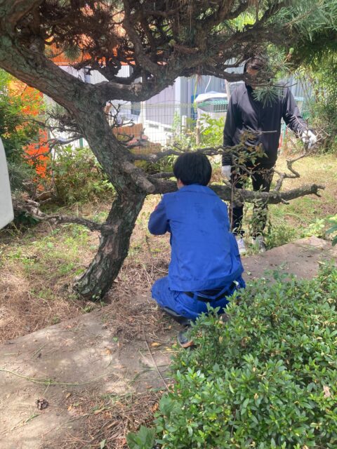 今日は暇なので大掃除です😅
暑すぎる💦
#キヨメル#きよめびと
#貸し式場 #ミオクル #湯灌納棺