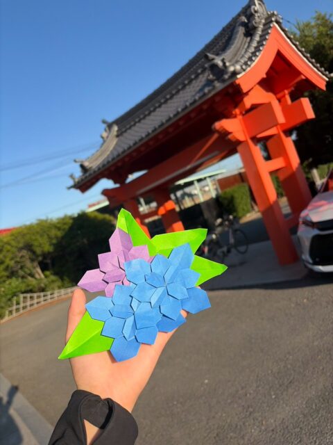 6月になりました☔️

スタッフが折り紙でアジサイを作ってくれました👏

折り鶴をモチーフにした弊社の貸し会館に、
折り紙のアジサイが彩りを添えてくれています✨

雨にも負けず、今月もがんばって参ります💪

#きよめびと #ミオクル #葬儀会館
#あじさい #紫陽花