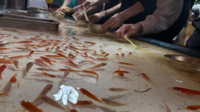 秋祭りその②
金魚すくいと鍋パーティーの様子です♪
スタッフの楽しそうな様子をお届けします😊
#ミオクル #キヨメル
#家族葬 #湯灌 #納棺師